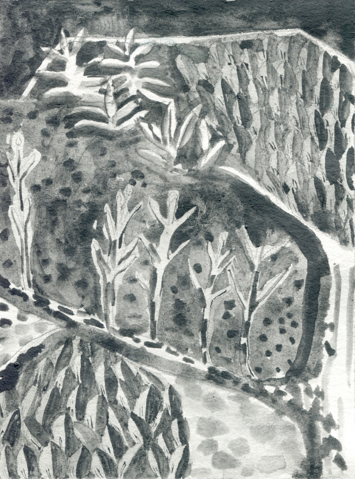Wald (1), 2025, wasserlöslicher Graphit auf Papier, 20,5 x 15 cm.