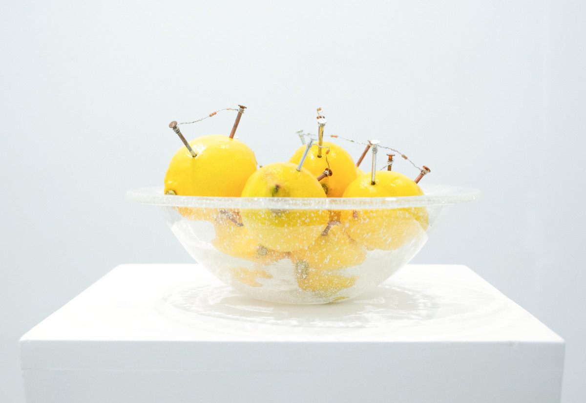 Zitronenheizung, of not moving at all, Oldenburg, 2023, Zitronen, Kupfernägel, Zinnägel, elektrischer Widerstand, Schale,Foto: Jonas Meyburg